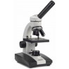 Microscope LED Junior NOVEX (1pc)
